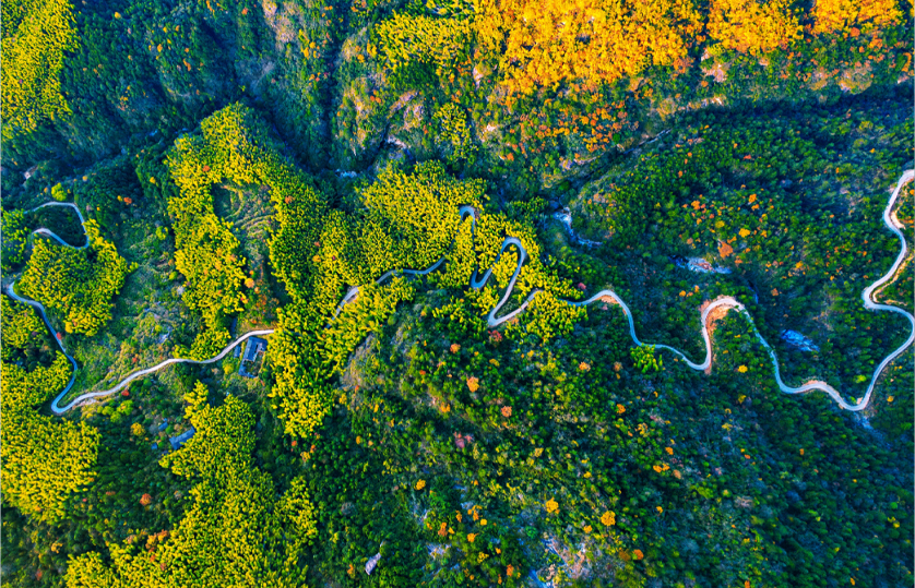 Beautiful Is the Road, Winding and Long