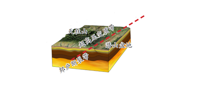 About 60 million years ago, under the influence of Pacific Plate activity, the Tan-Lu Fault Zone, which runs diagonally across the Tianzhushan area, remained continuously active. The western side was uplifted, exposing the granite massif at the surface and bringing the ultrahigh-pressure metamorphic belt back into view. The eastern side subsided to form the Qianshan Basin, creating favorable conditions for the reproduction and growth of plants and animals, where large numbers of mammals lived, evolved, and flourished.