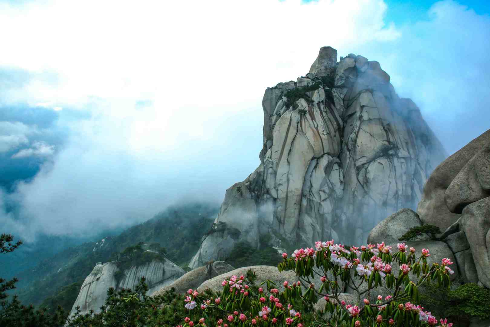 Flowers Awakening the Spring