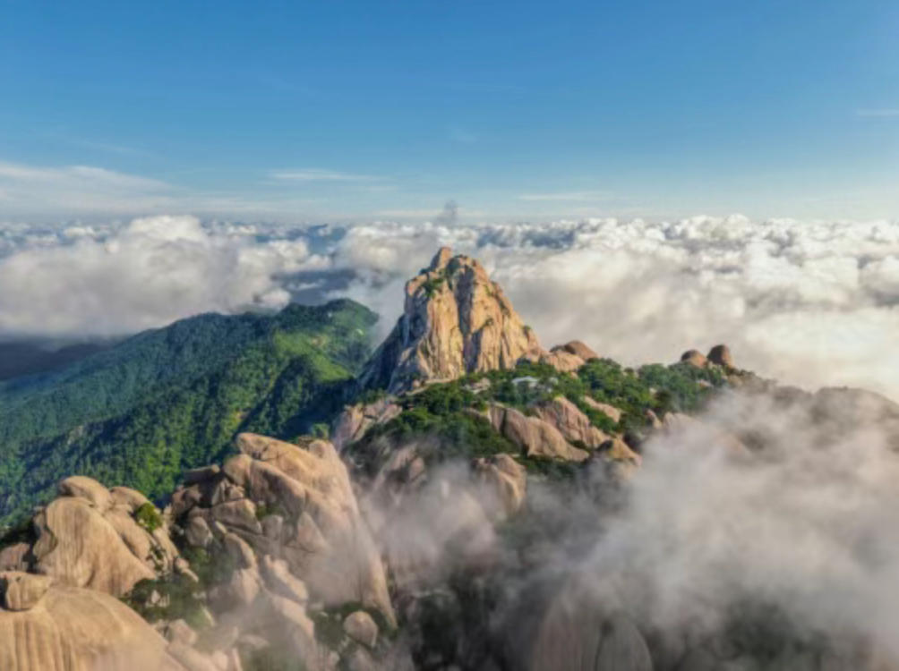 A 20°C Forest SPA! After the Rain, Come to Tianzhushan and Take a Deep Breath