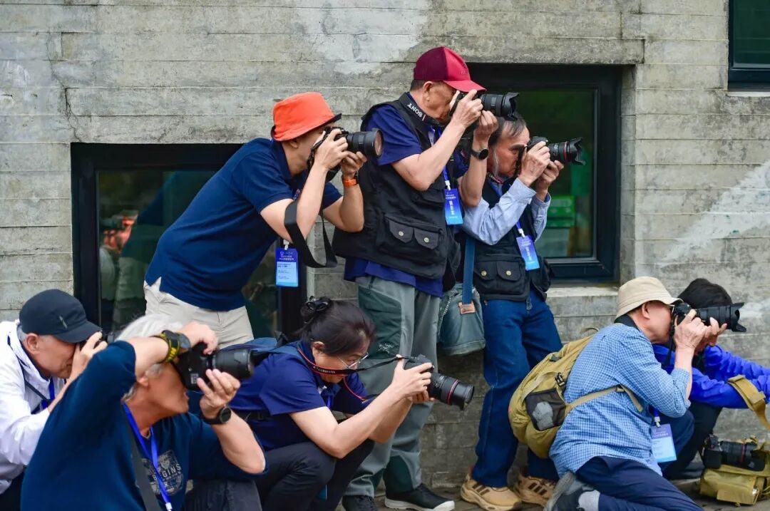The Camera as a Brush, Mountains and Waters as Poetry — “Beautiful Anhui in Pictures: Images of Anhui” 2026 Photography Season, Second Edition, Visits Tianzhushan